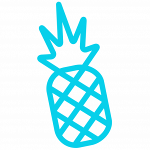 Pineapple Careers Pineapple